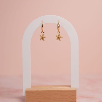 PENDIENTES ESTRELLA: imagen 2