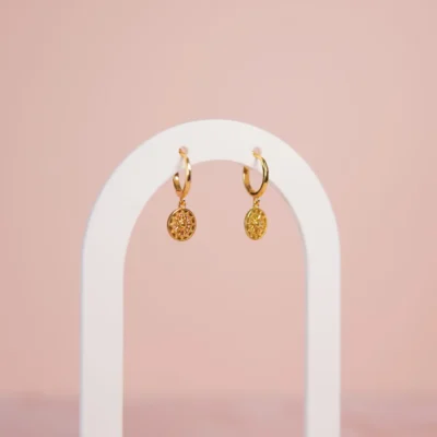 PENDIENTES HAYA: imagen 2
