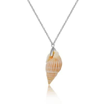 Collar con colgante de concha marina para mujer.